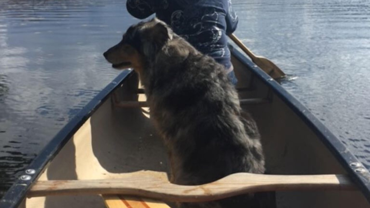 Photo of Others in Lake of Bays