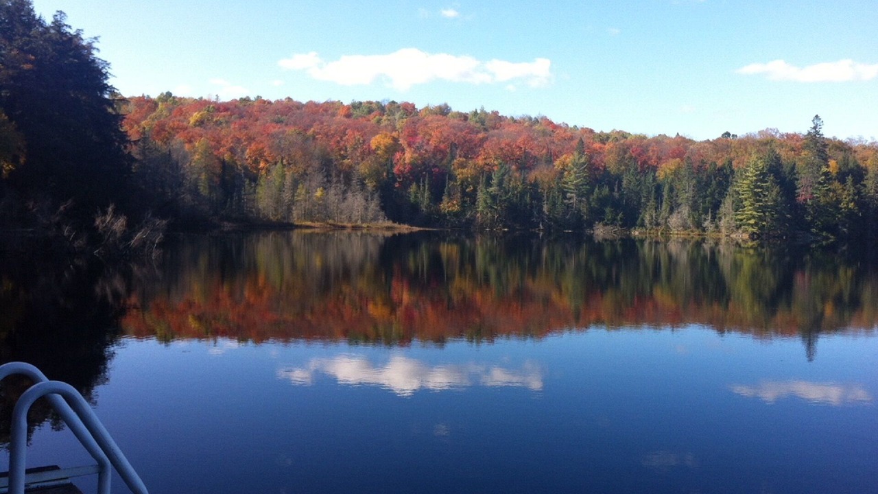 Photo of Others in Lake of Bays