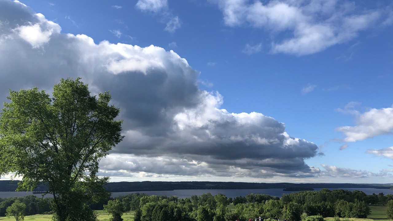 Photo of Others in Otonabee-South Monaghan
