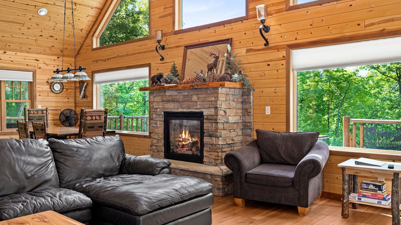 Photo of Livingroom in Duluth