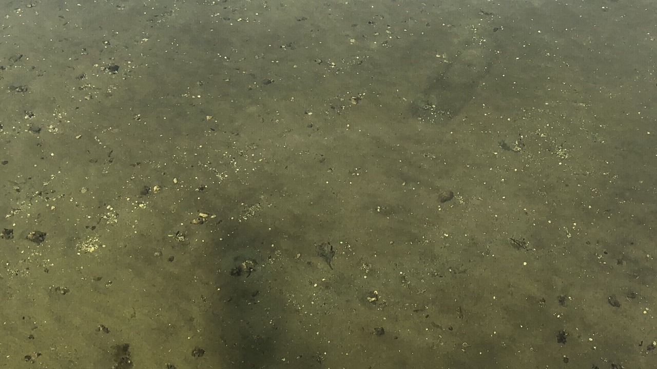 Photo of Others in Detroit Lakes