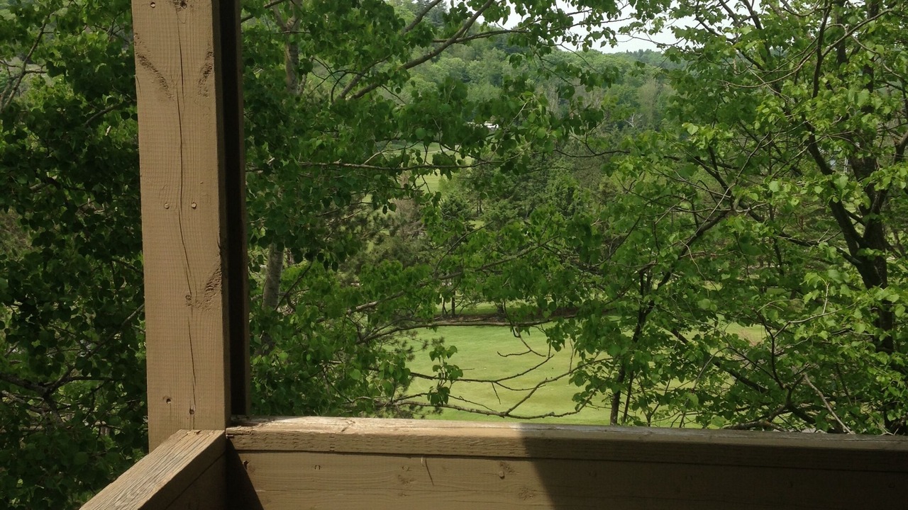 Photo of Outdoor in Huntsville