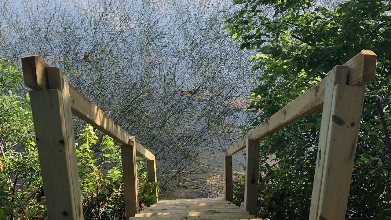 Photo of Outdoor in Dalton