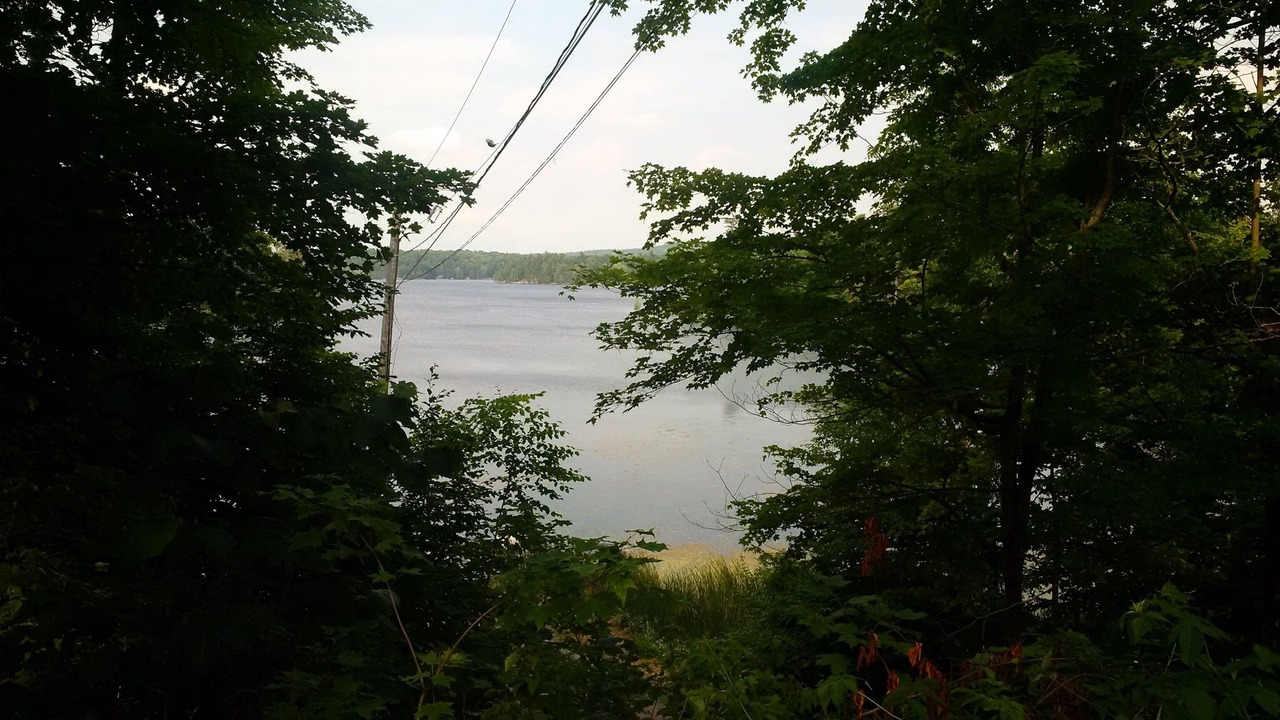 Photo of Outdoor in Leeds and the Thousand Islands
