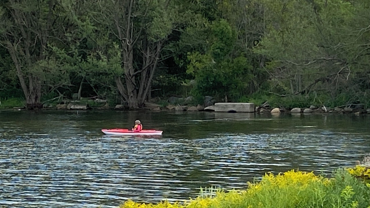 Photo of Others in Penetanguishene