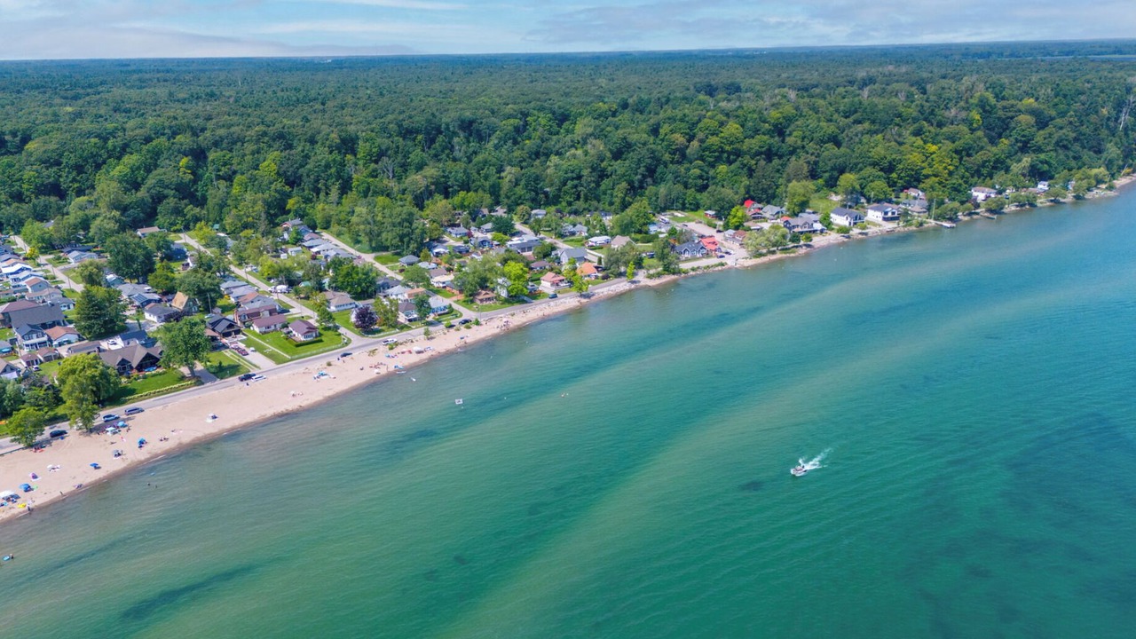 Photo of Others in Turkey Point