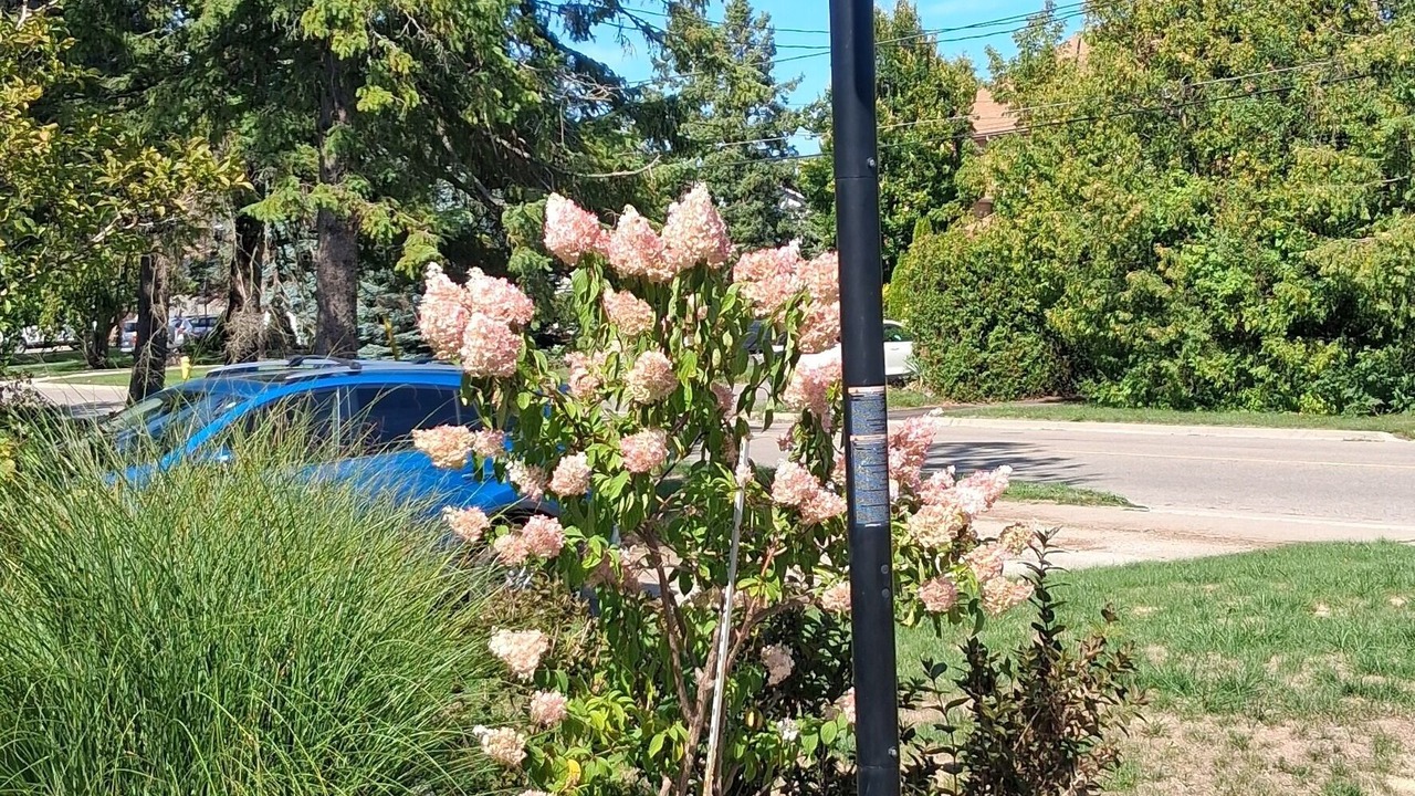 Photo of Outdoor in Pickering