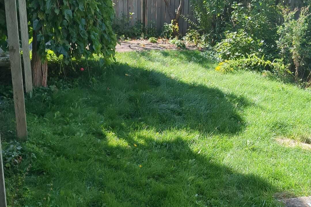 Photo of Outdoor in York Regional Municipality
