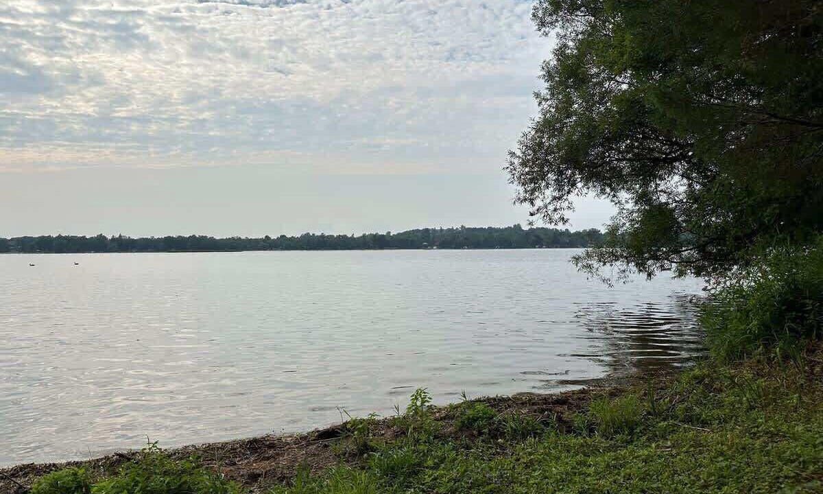 Photo of Others in Lakefield