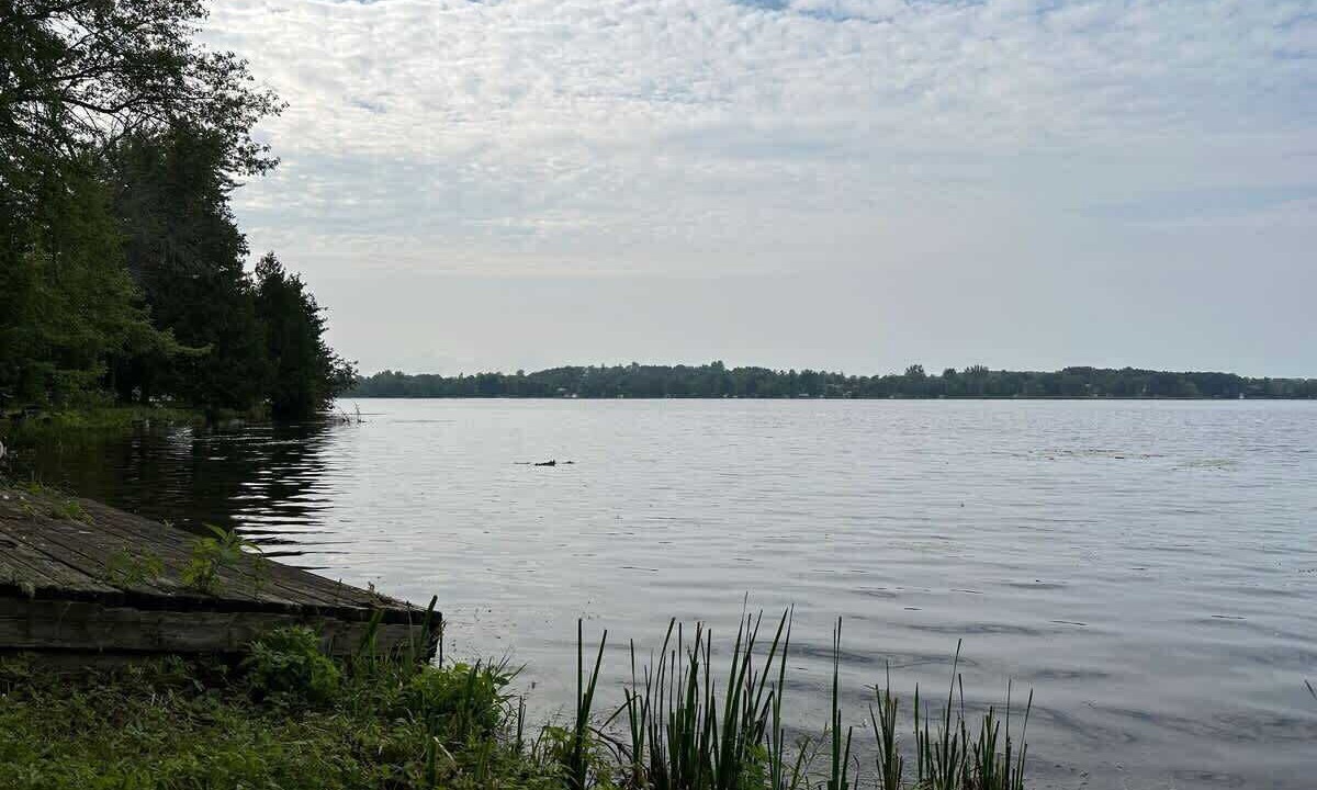 Photo of Others in Lakefield