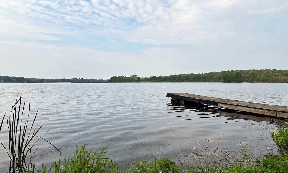 Photo of Others in Lakefield
