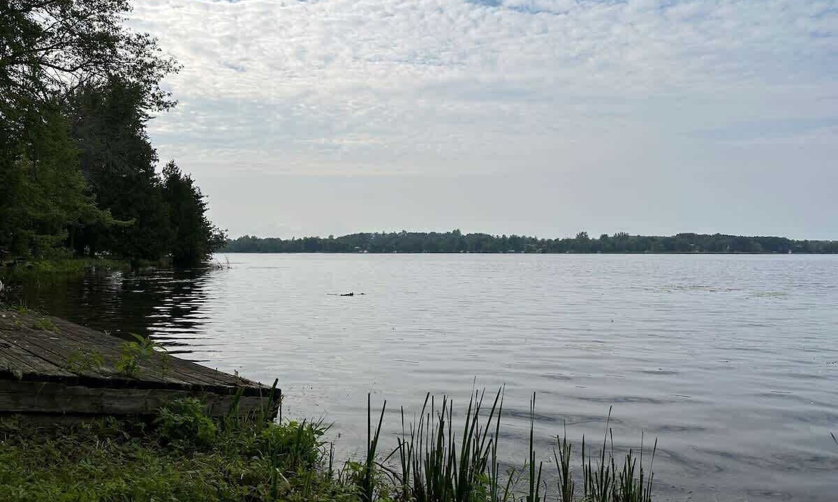 Photo of Others in Lakefield