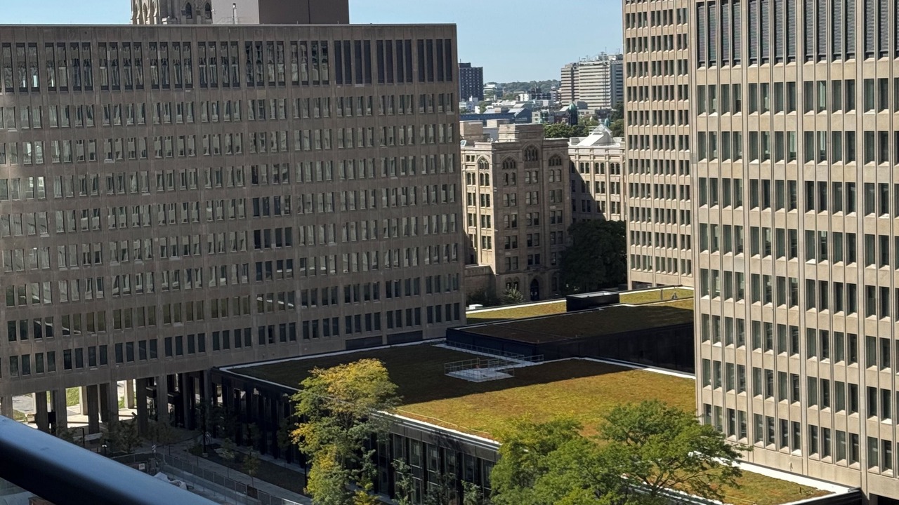 Photo of Outdoor in Bay Street Corridor