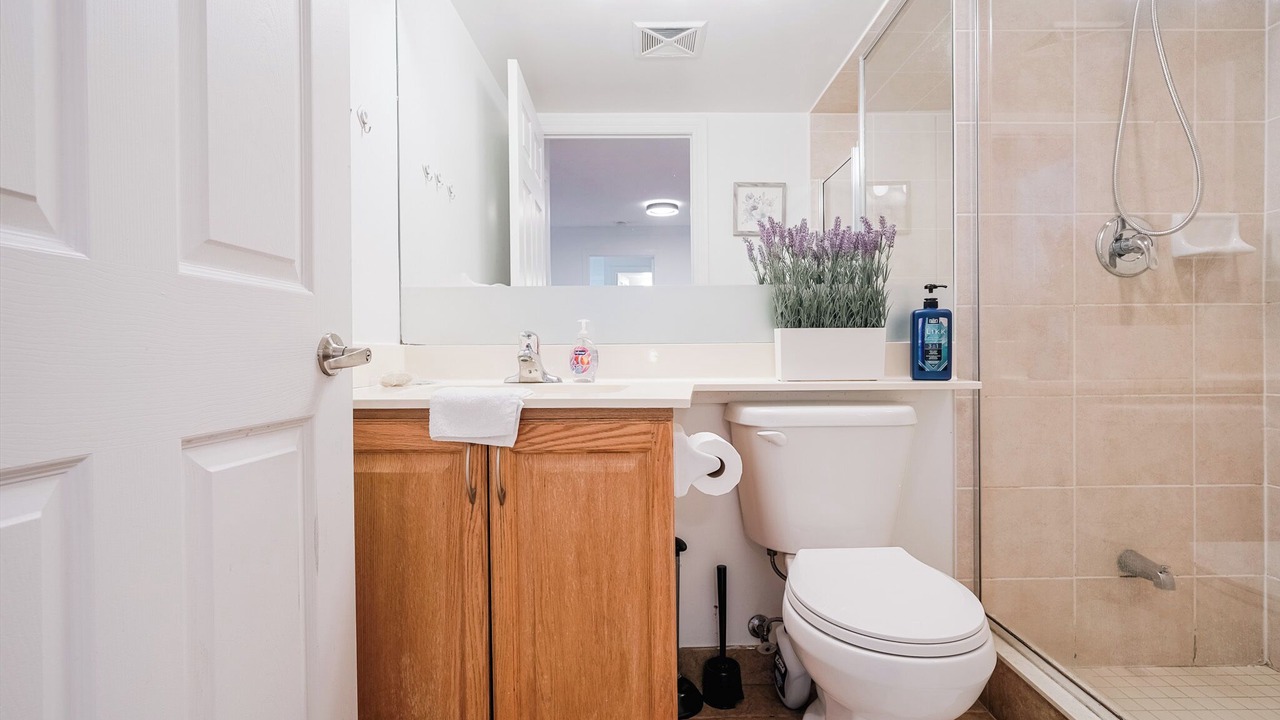 Photo of Bathroom in Downtown Mississauga