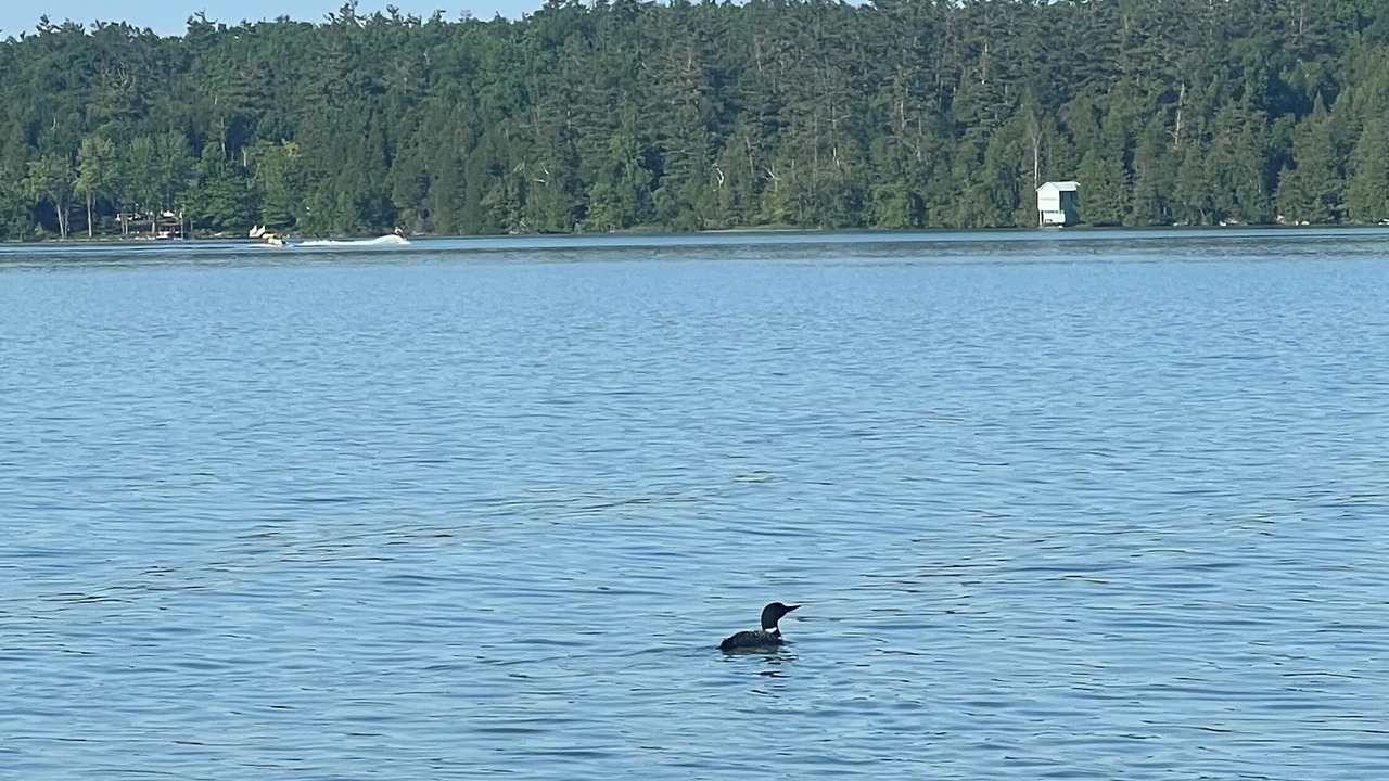 Photo of Others in Lakehurst