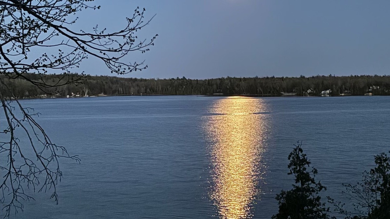 Photo of Others in Lakehurst