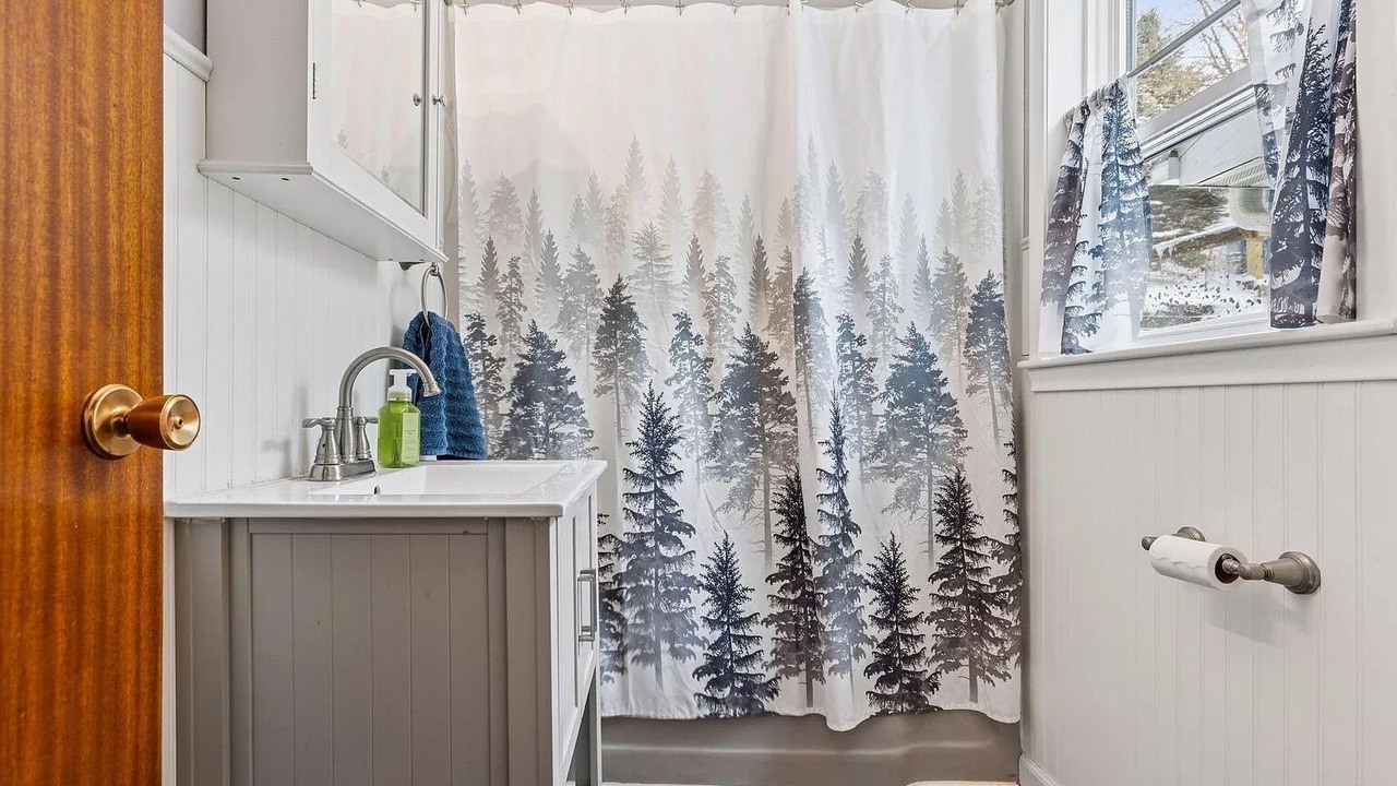 Photo of Bathroom in Lindstrom