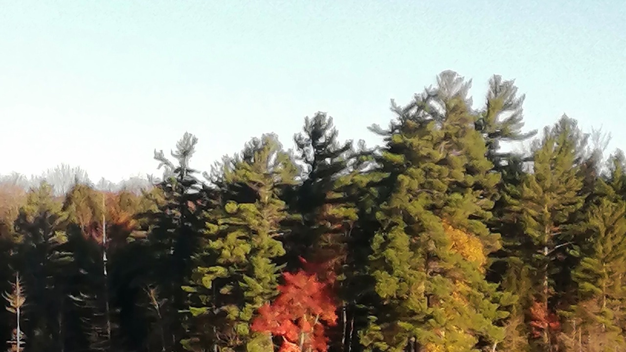 Photo of Others in Lake of Bays