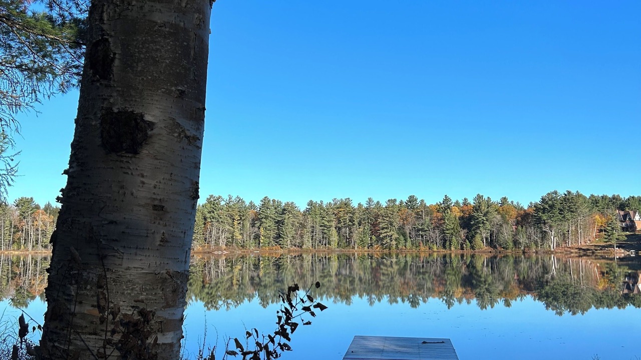 Photo of Others in Lake of Bays