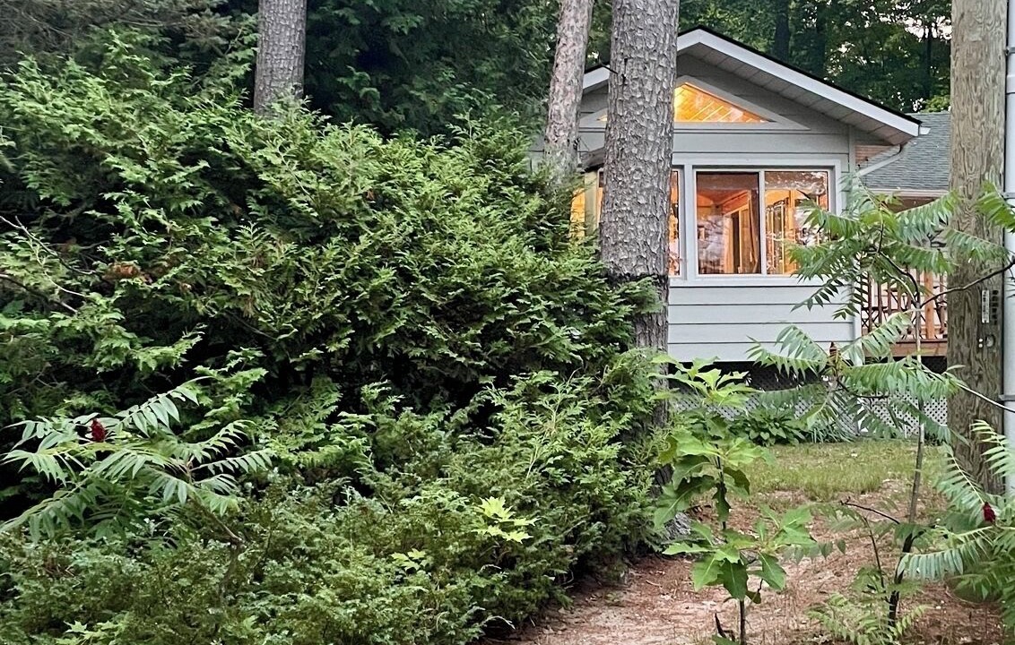 Photo of Outdoor in Tiny