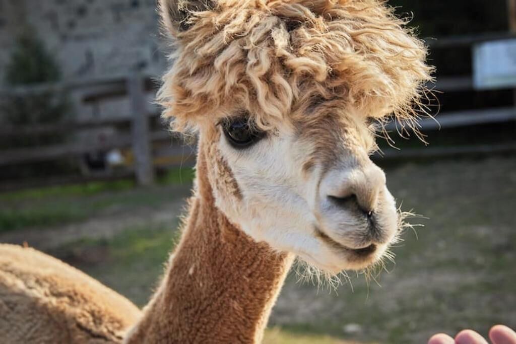 Photo of Others in Elora