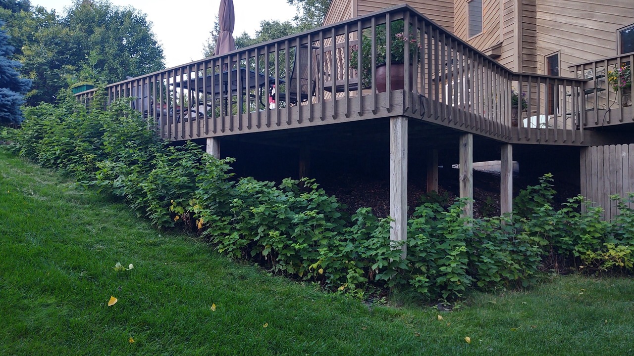 Photo of Outdoor in Grant