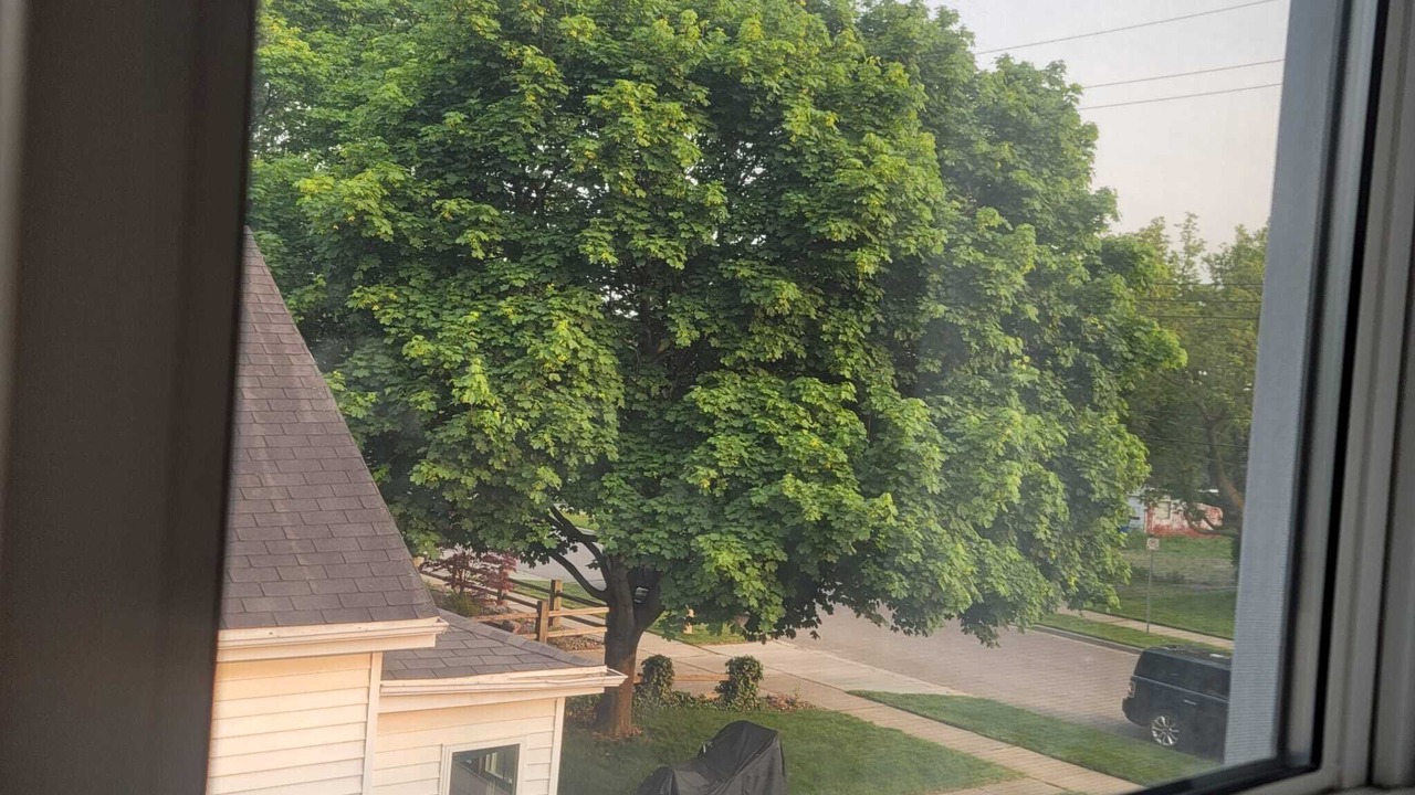 Photo of Others in Chatham-Kent