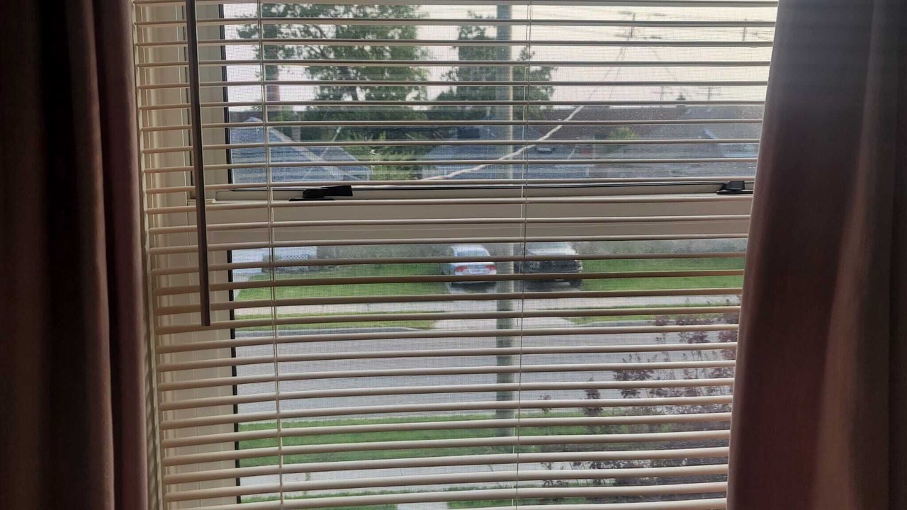 Photo of Others in Chatham-Kent