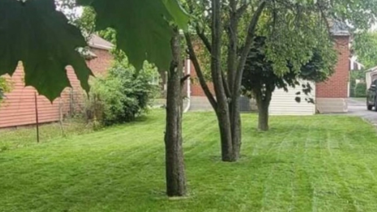 Photo of Outdoor in Durham Region