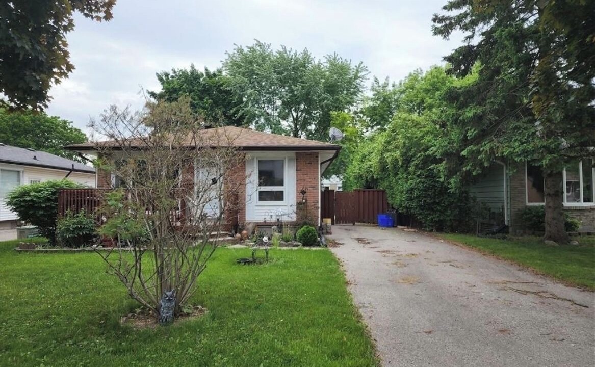 Photo of Outdoor in White Oaks