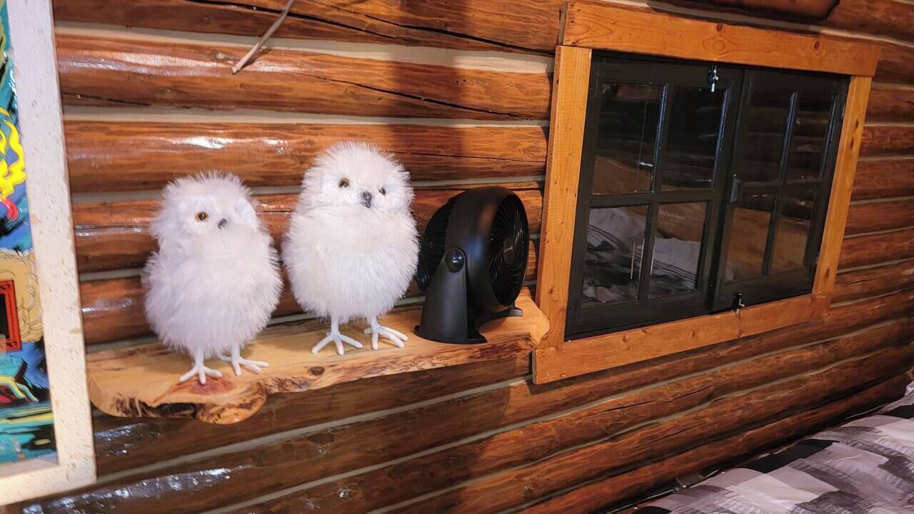 Photo of Others in Northern Ontario