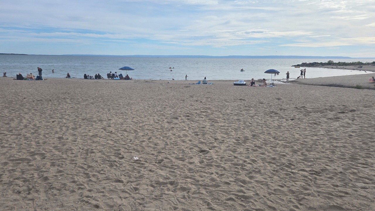 Photo of Others in Balm Beach