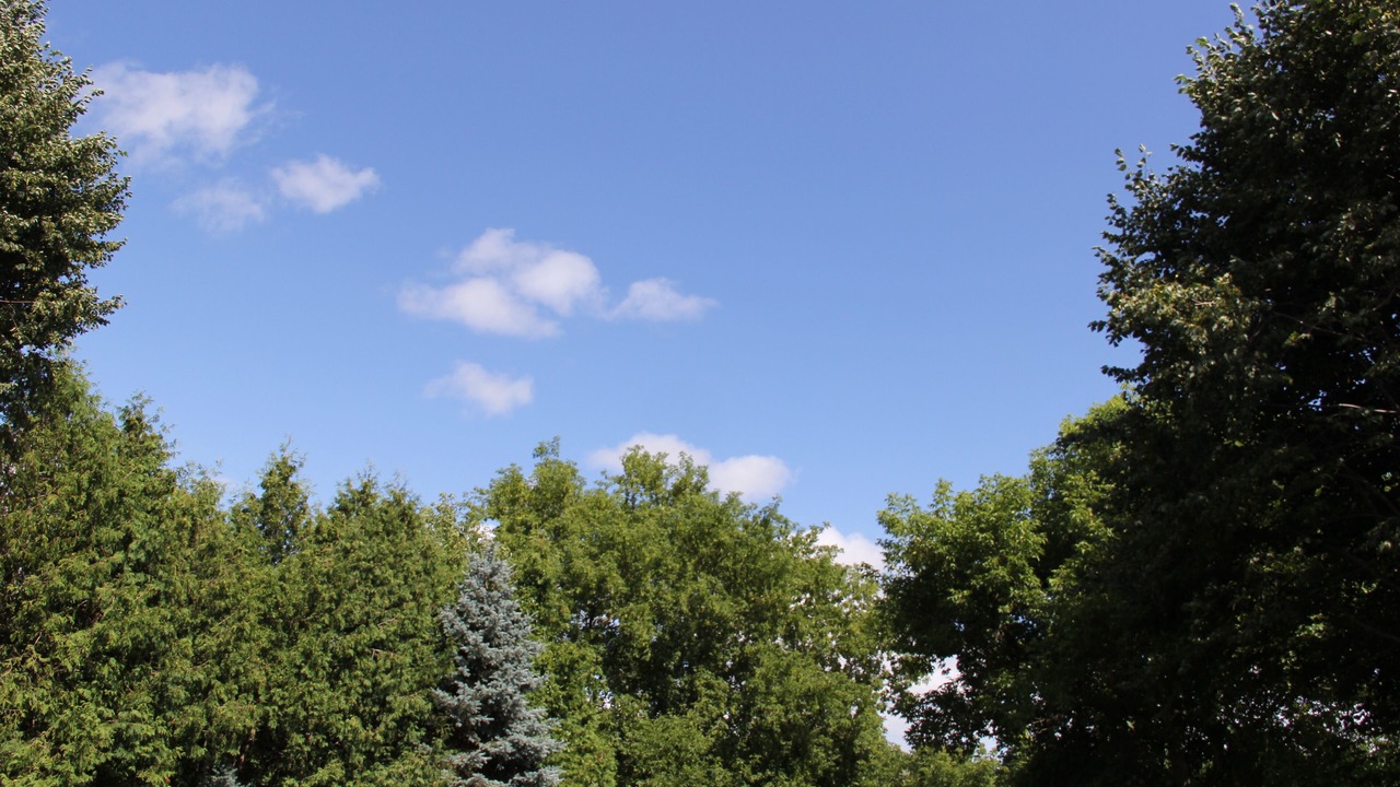 Photo of Others in Bayview Woods - Steeles