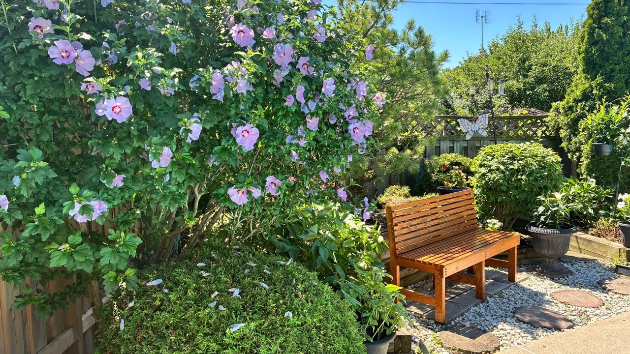 Photo of Patio Balcony in West Deane Park