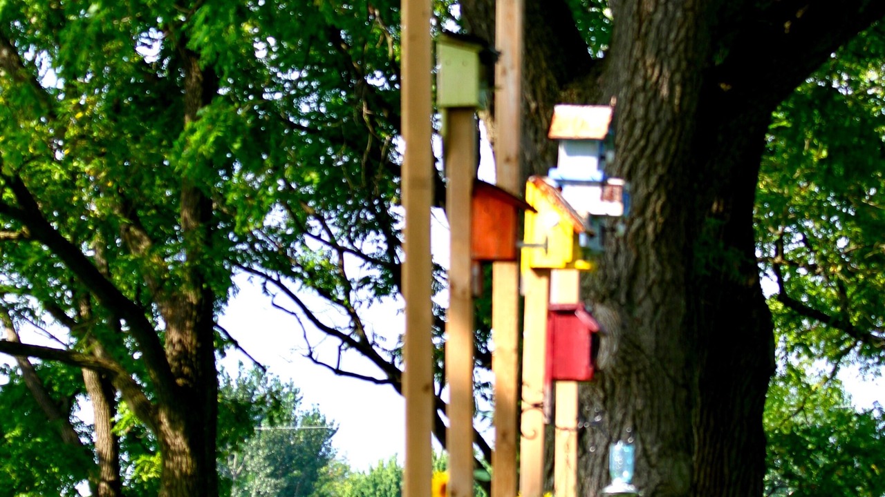Photo of Others in Port Rowan