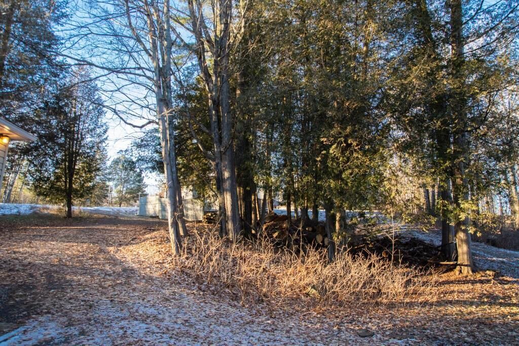 Photo of Outdoor in North Frontenac