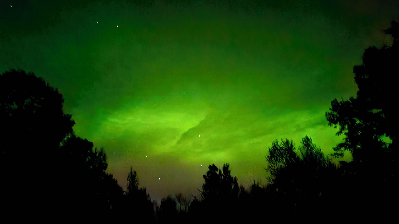 Photo of Outdoor in Carlton