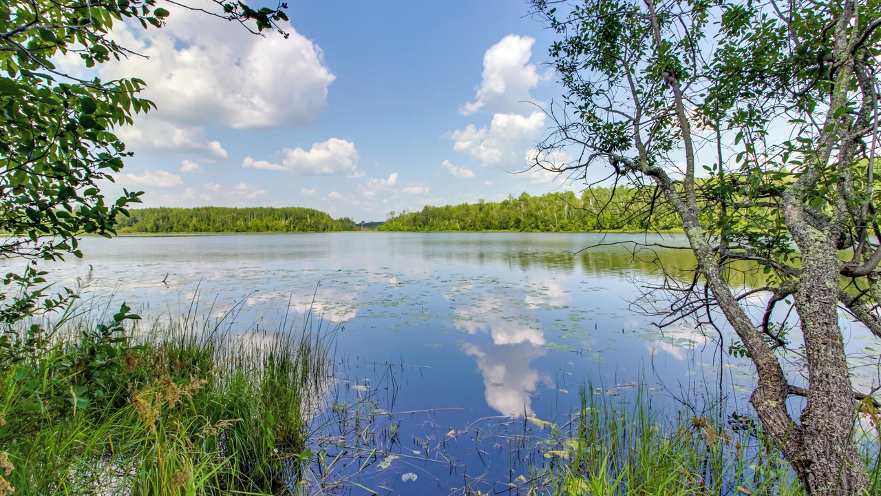 Photo of Outdoor in Northeast Itasca