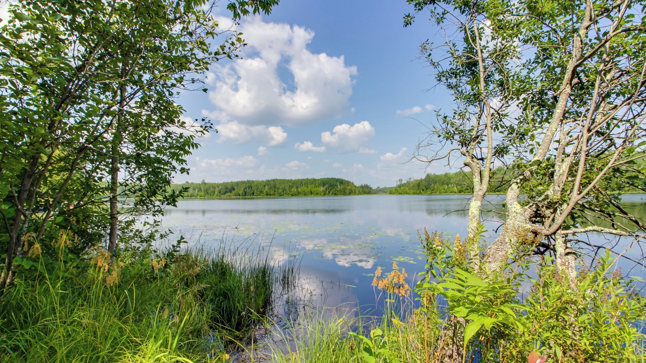 Photo of Others in Northeast Itasca