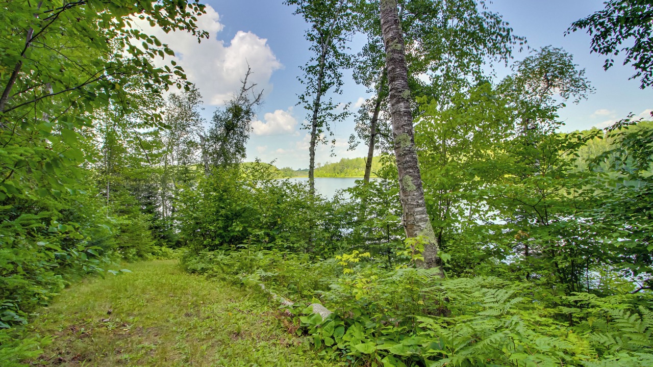 Photo of Others in Northeast Itasca