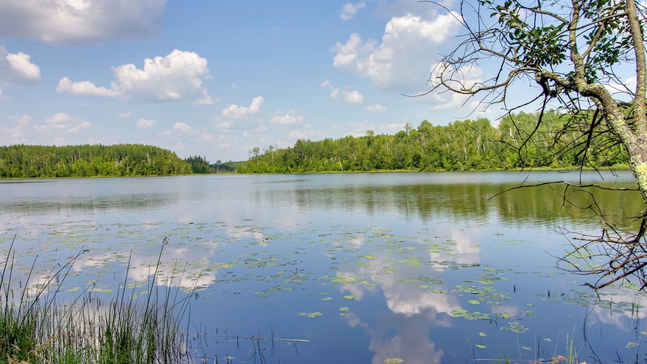 Photo of Outdoor in Northeast Itasca