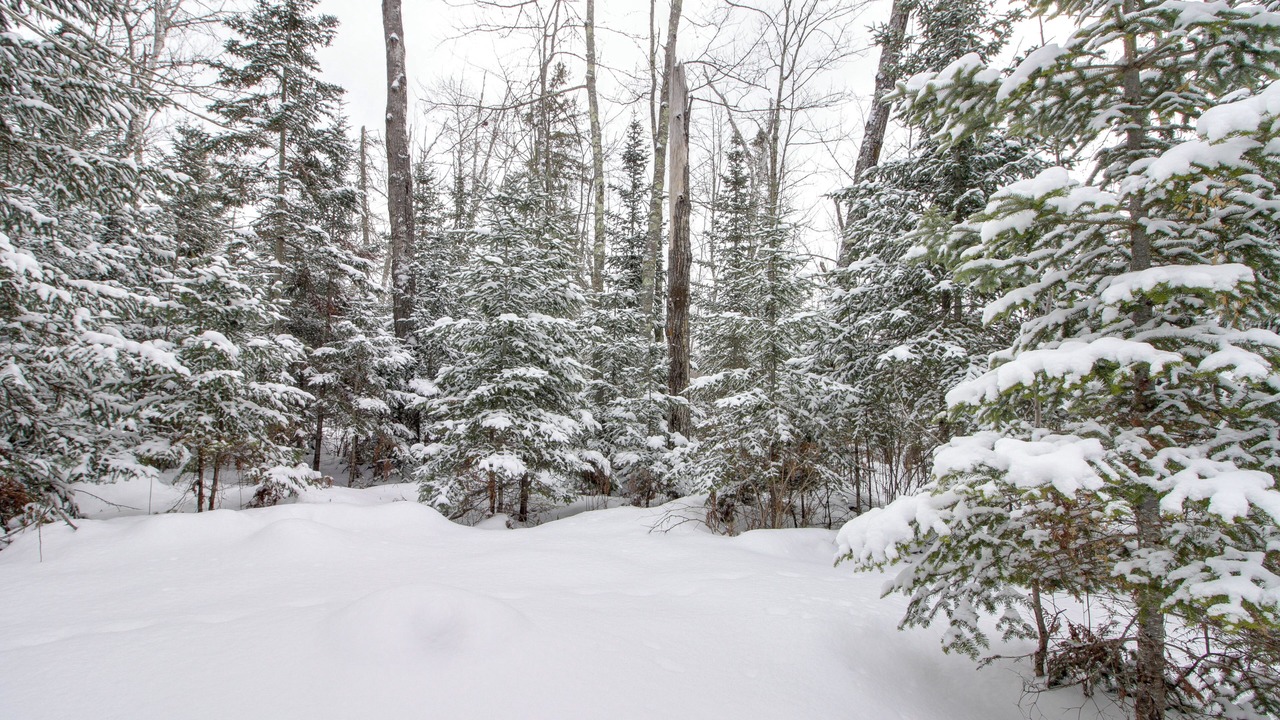 Photo of Others in Northeast Itasca