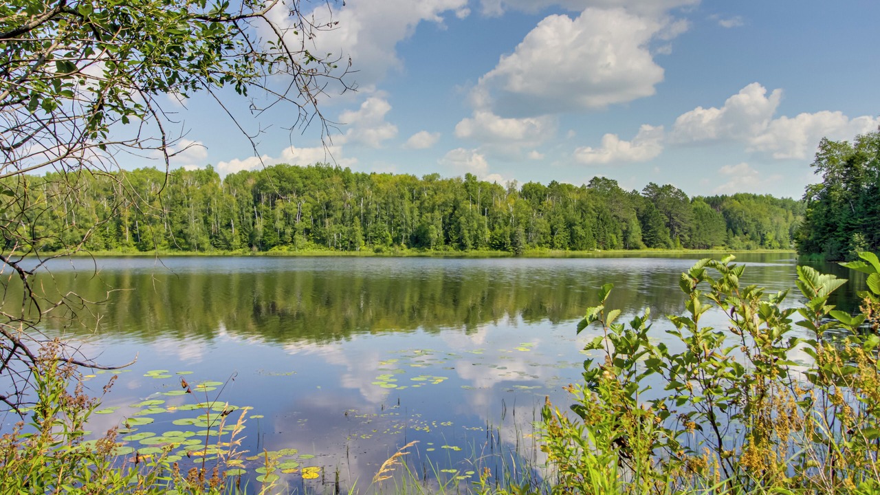 Photo of Outdoor in Northeast Itasca