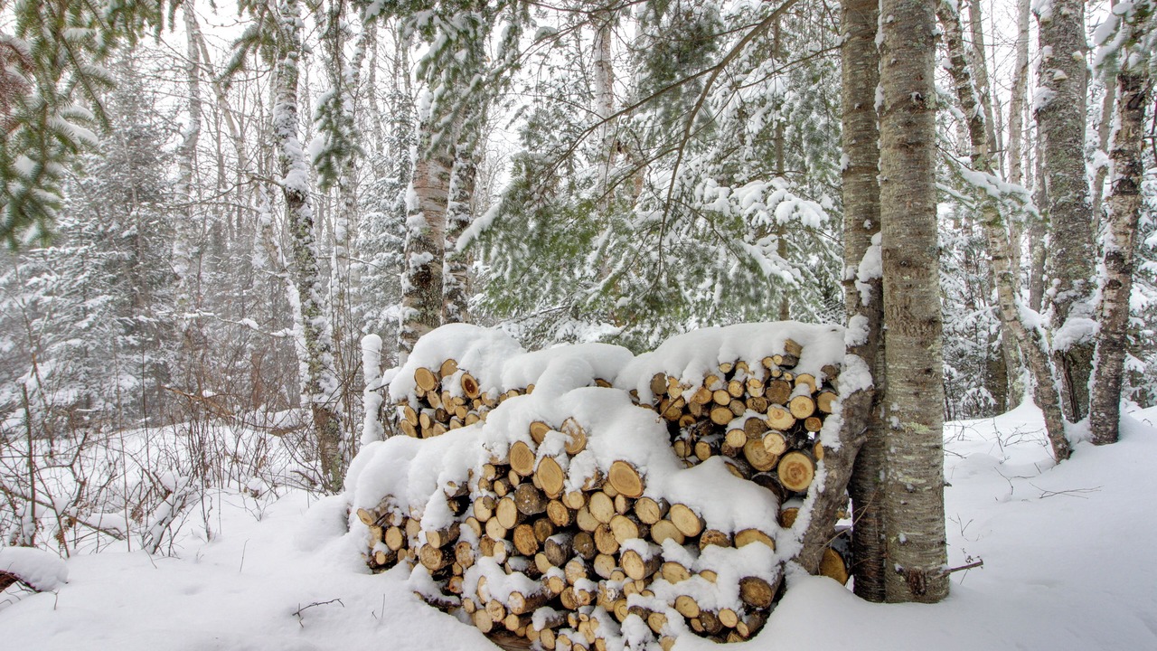 Photo of Others in Northeast Itasca