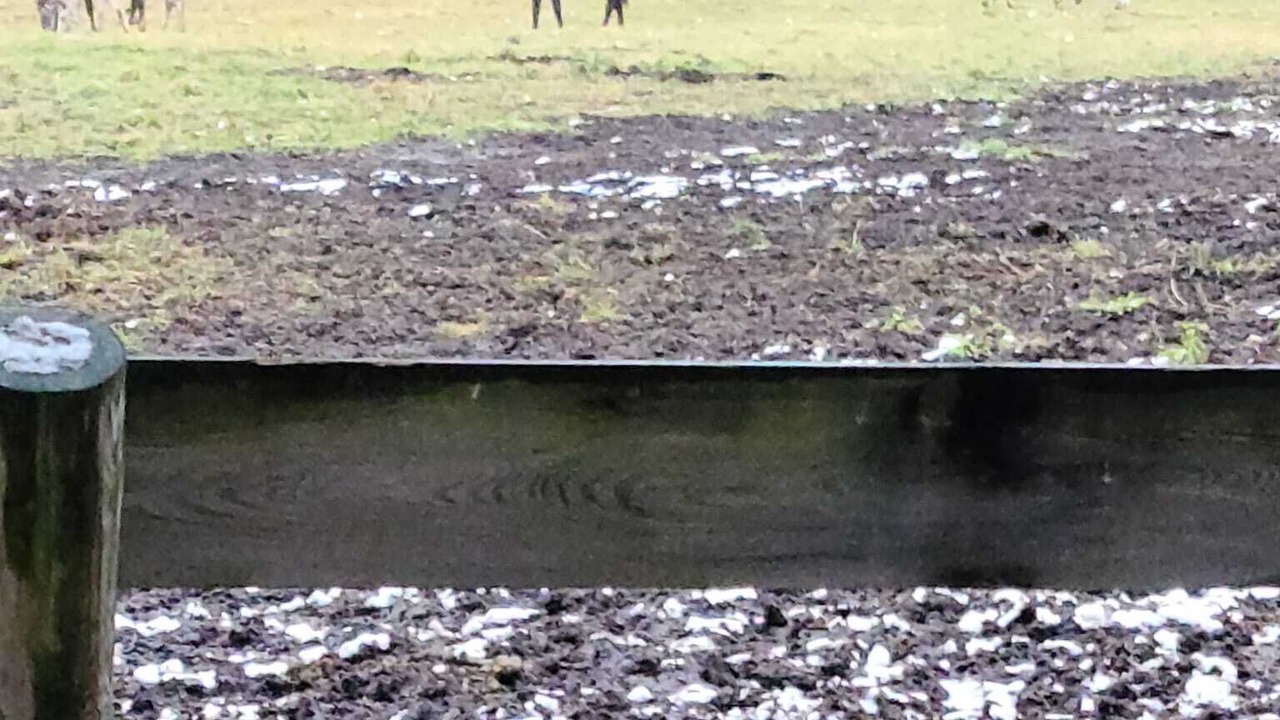 Photo of Others in Durham Region