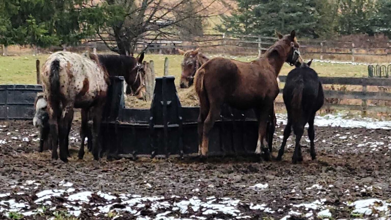 Photo of Others in Durham Region