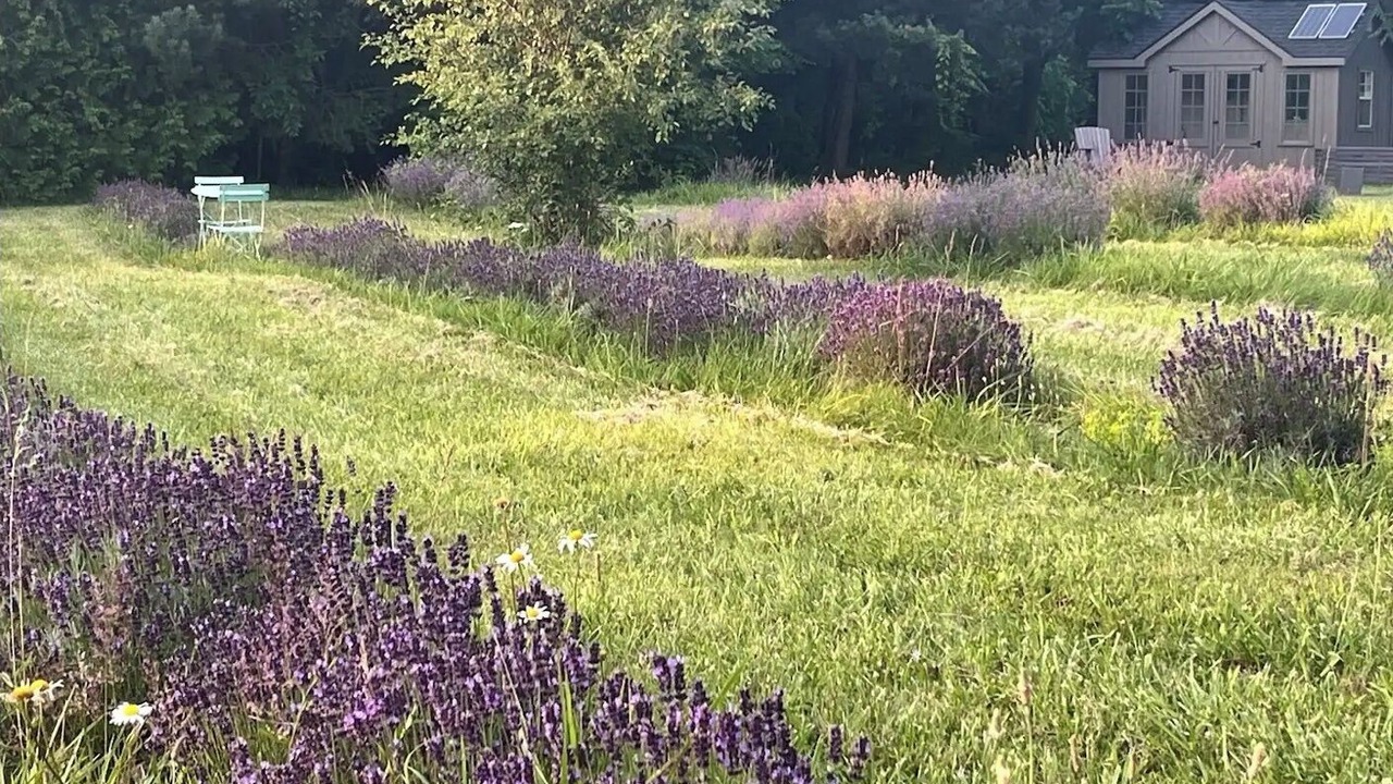 Photo of Outdoor in Bayfield