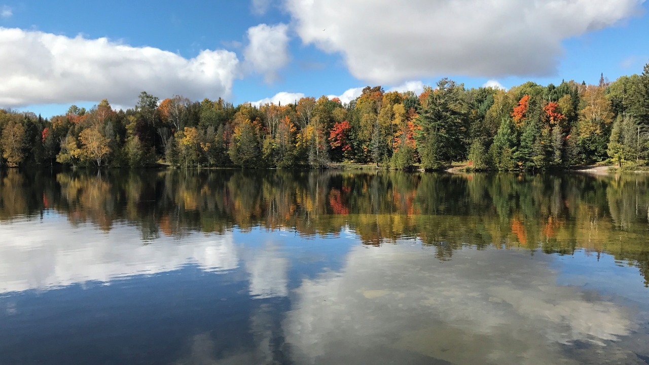 Photo of Outdoor in North Kawartha