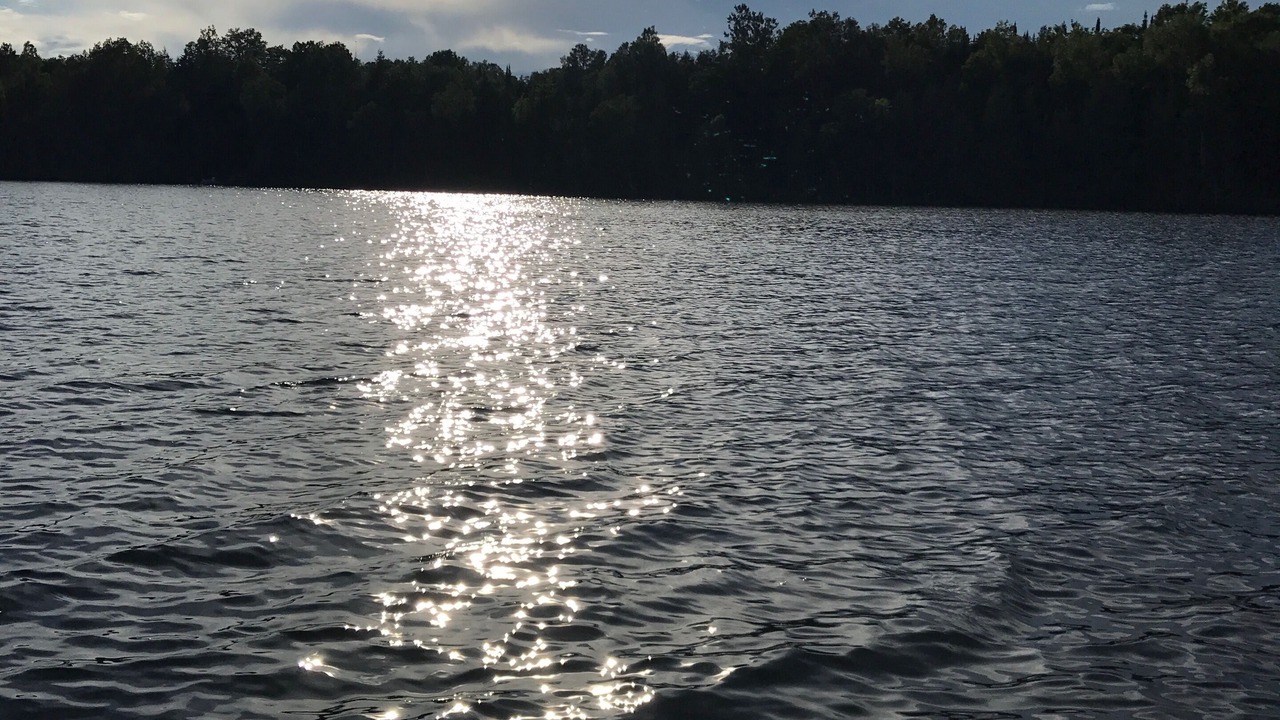 Photo of Others in North Kawartha