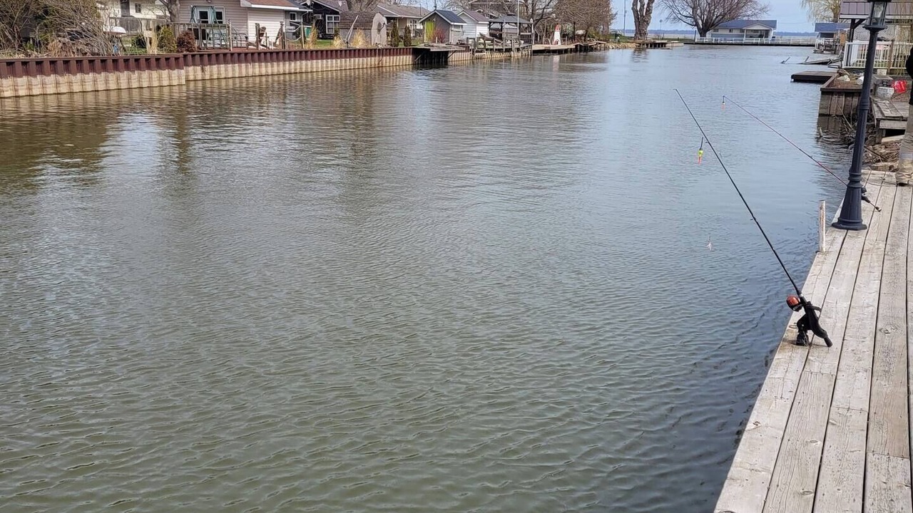 Photo of Others in Harwich